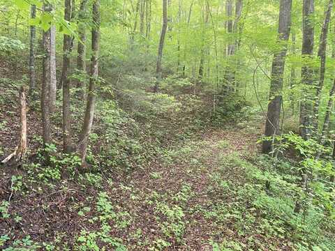 Tbd Charles Sondheimer Road, Franklin, NC 28734