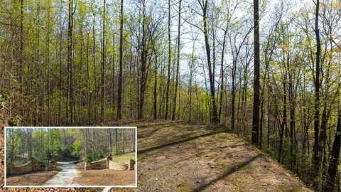 Hickory Cove Preserve, Bryson City, NC 28713