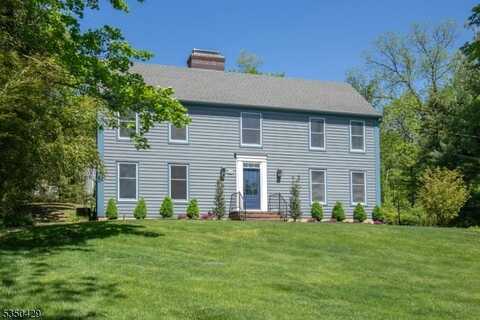 53 Hull Rd, Bernardsville, NJ 07924
