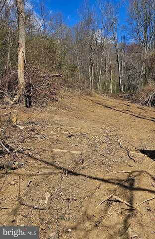 0 MOON ROAD, SPERRYVILLE, VA 22740