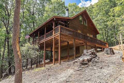 137 Ascherman Court, Blue Ridge, GA 30513