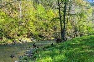 003 Swan Bridge Road, Talking Rock, GA 30175