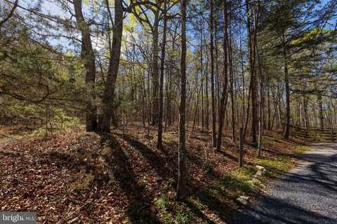 SHOTGUN SPRINGS, NEW MARKET, VA 22844