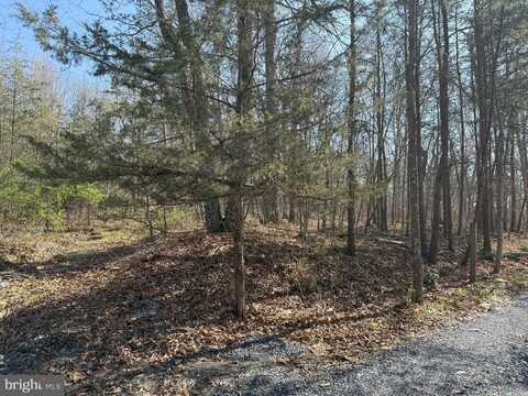 SHOTGUN SPRINGS, NEW MARKET, VA 22844