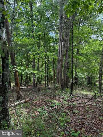 ALUM SPRINGS ROAD, EDINBURG, VA 22824