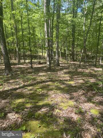 0 RICE ROAD, HANCOCK, MD 21750