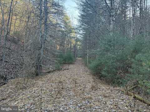 BUCK HILL LANE, SUGAR GROVE, WV 26815