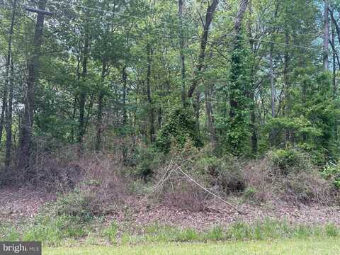 LENAPAH RD, CHESTERTOWN, MD 21620