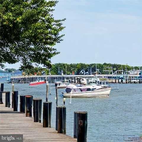 0 BIRD OF PARADISE COURT, EDGEWATER, MD 21037