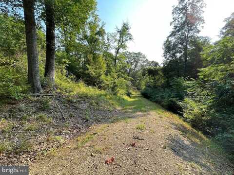 TUPELO LOOP, SPRINGFIELD, WV 26763