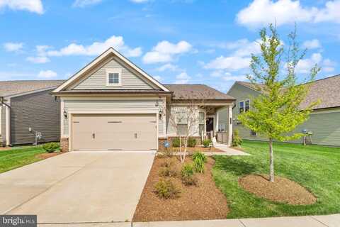 16136 PINK POPPY WAY, HAYMARKET, VA 20169