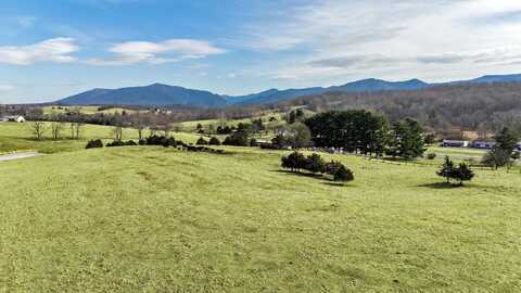 16.12 ac LOT 2 N LEE HWY, RAPHINE, VA 24472