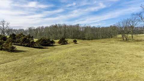 16.119 ac Lot 1 N LEE HWY, RAPHINE, VA 24472
