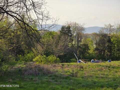 Tbd Boatmans Mountain Lot 2 Road, Morristown, TN 37814