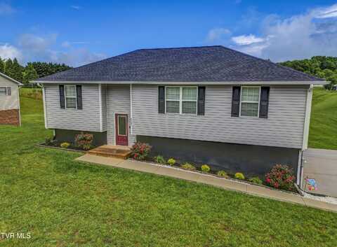 6245 Snapps Ferry Road, Afton, TN 37616