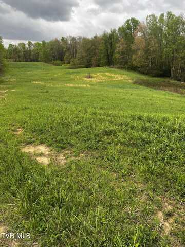 Lot 3 Walnut Mountain Road, Laurel Fork, TN 37687