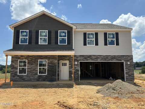 313 Cookie Loop, Gray, TN 37615