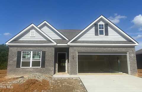 192 Tanasqui Drive, Johnson City, TN 37604