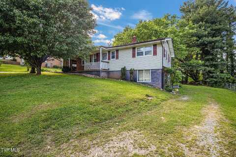 295 Unaka Drive, Mosheim, TN 37818