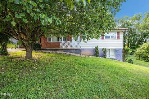 295 Unaka Drive, Mosheim, TN 37818