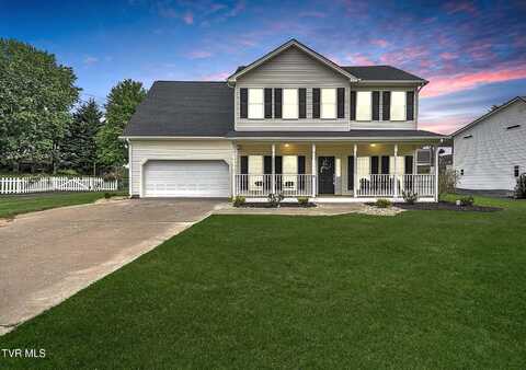 6 Teague Court, Jonesborough, TN 37659
