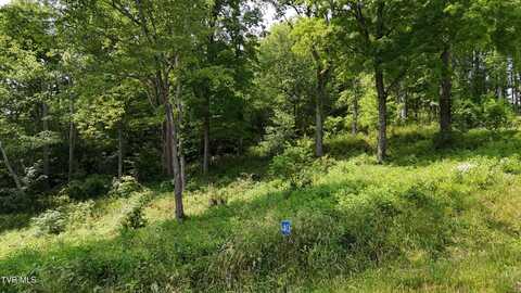 Tr 40 Cowan Town Road, Butler, TN 37640