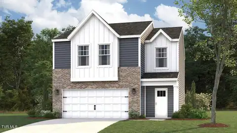 319 Cookie Loop, Gray, TN 37615