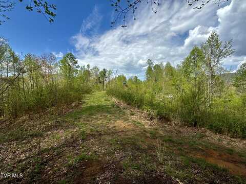 19/Ac Tbd Edith Gouge Rd, Unicoi, TN 37692