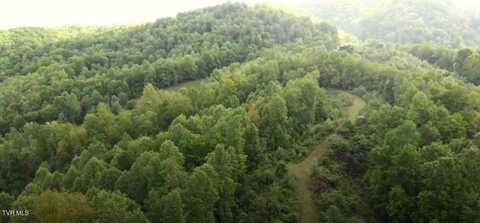 19/Ac Tbd Edith Gouge Rd, Unicoi, TN 37692