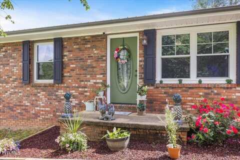 224 Dogwood Drive, Surgoinsville, TN 37873