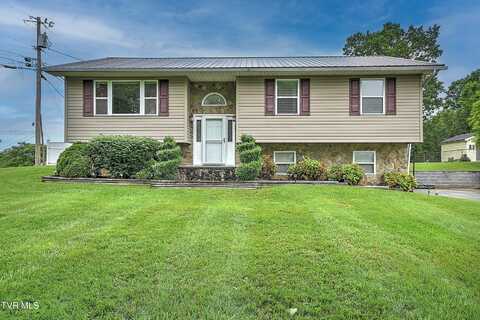 145 Linda Heights, Fall Branch, TN 37656