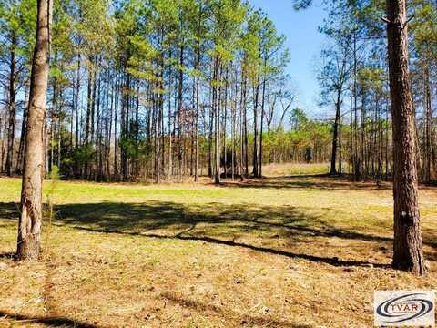 470 Hagler Ridge Rd, SPRINGVILLE, TN 38256