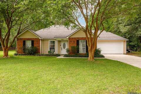 38125 Hidden Point Dr, Geismar, LA 70734