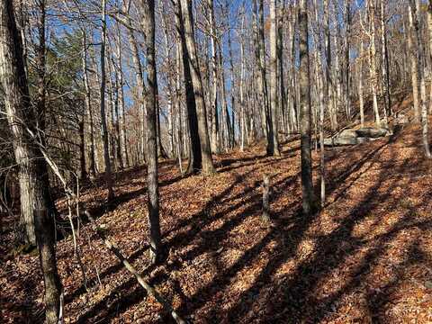 Rocky Point Rd, COOKEVILLE, TN 38506