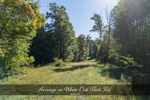 8111 WHITE OAK FLATT RD, SPARTA, TN 38583