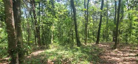 0 Murray Heights Drive N, Irvington, AL 36544