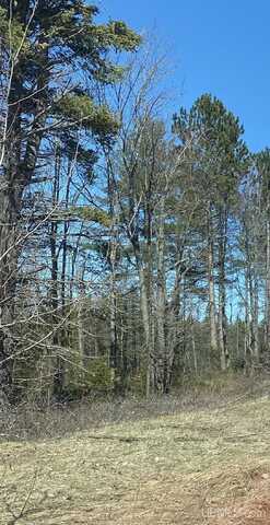 40 Acres Ski Hill, Little Lake, MI 49833