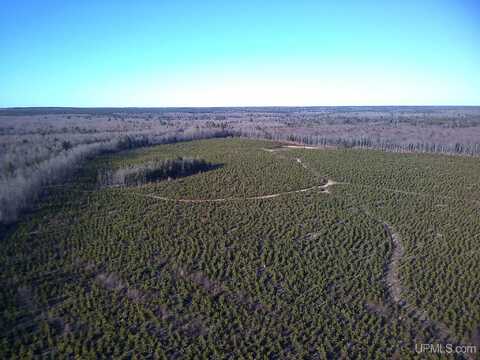 TBD Parcel 3 16 Mile Lake, Au Train, MI 49806
