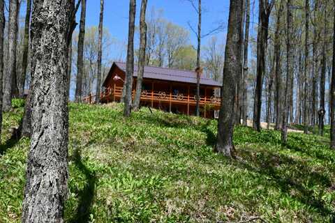 1322 W Northwoods, Hardwood, MI 49834