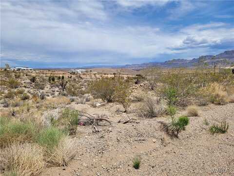 1315 E Hance Drive unit: 163, Meadview, AZ 86444
