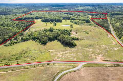 4203 COUNTY ROAD 25, Double Springs, AL 35553