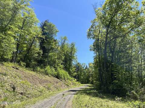 TALLMAN HOLLOW ROAD, Montoursville, PA 17754