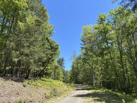 TALLMAN HOLLOW ROAD, Montoursville, PA 17754