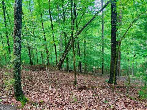1190 Gibe, Ellijay, GA 30540