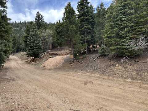 Bonnie Green, Duck Creek Village, UT 84762