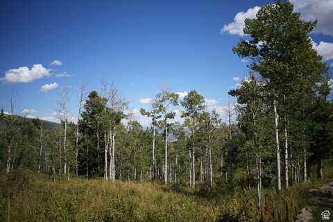 2481 FOREST MEADOW, Wanship, UT 84017