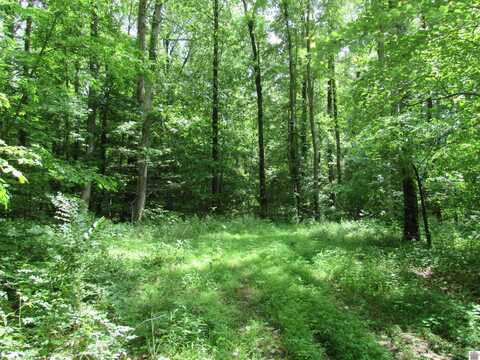 Dooms Chapel Road, Symsonia, KY 42082