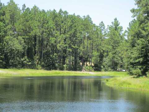 V/L 81,306 Cumberland Harbour, Saint Marys, GA 31558