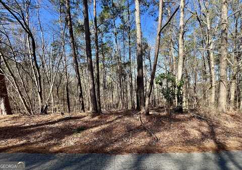 0 Flamingo, Monticello, GA 31064