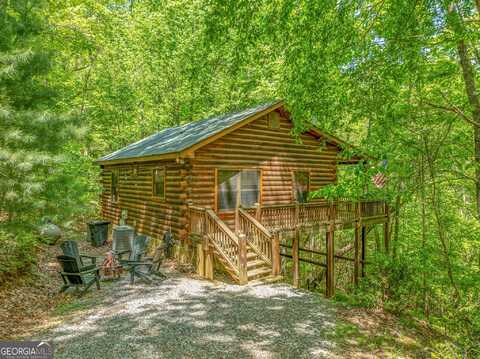 7 Ascherman, Blue Ridge, GA 30513